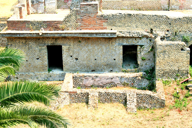 Scavi di Pompei www.travelnelmondo.blogspot.it scavi Pompei, rovine, abitazione, palma
