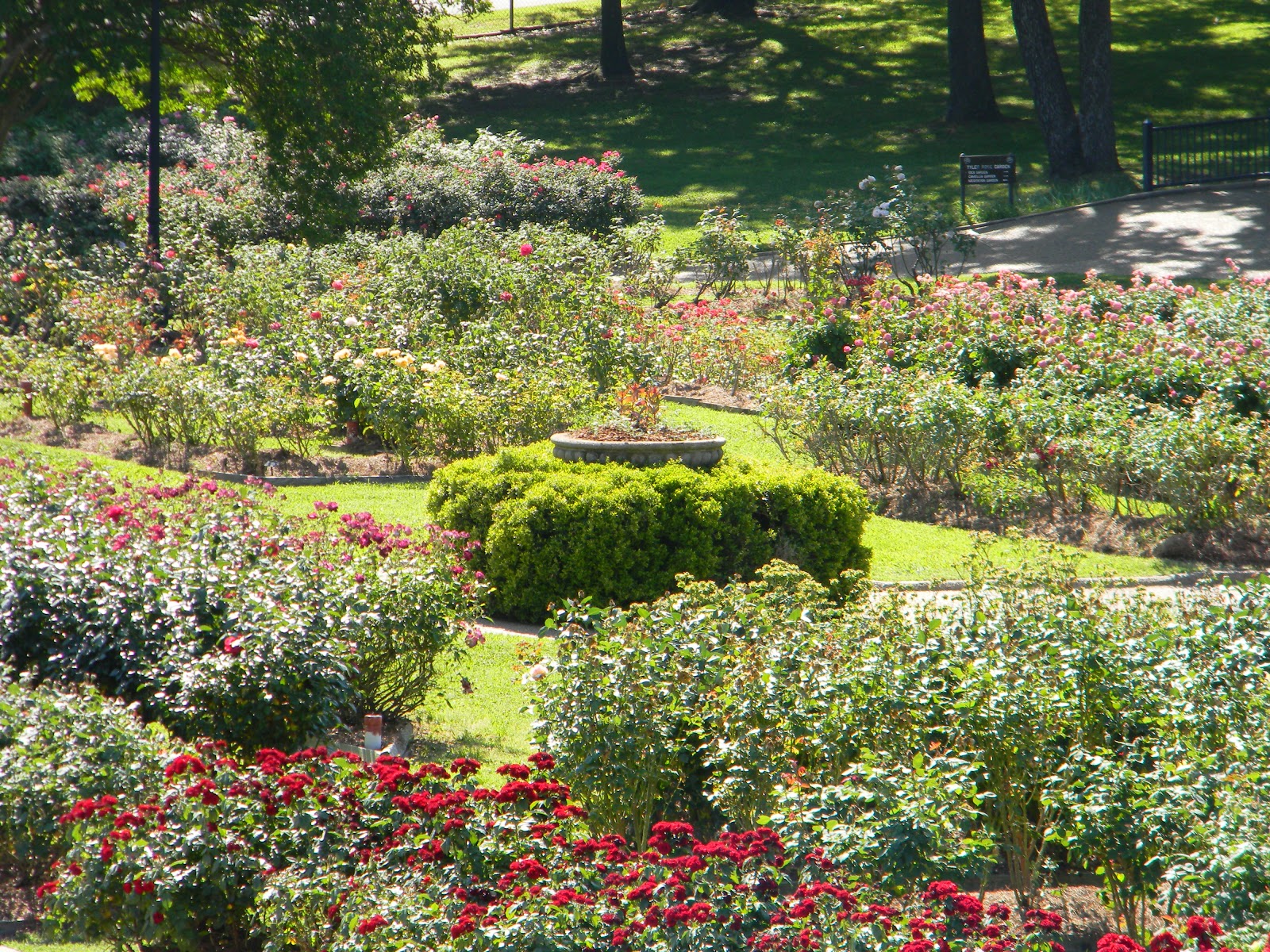 RVFulltimingLove Rose Garden, Tyler, Tx