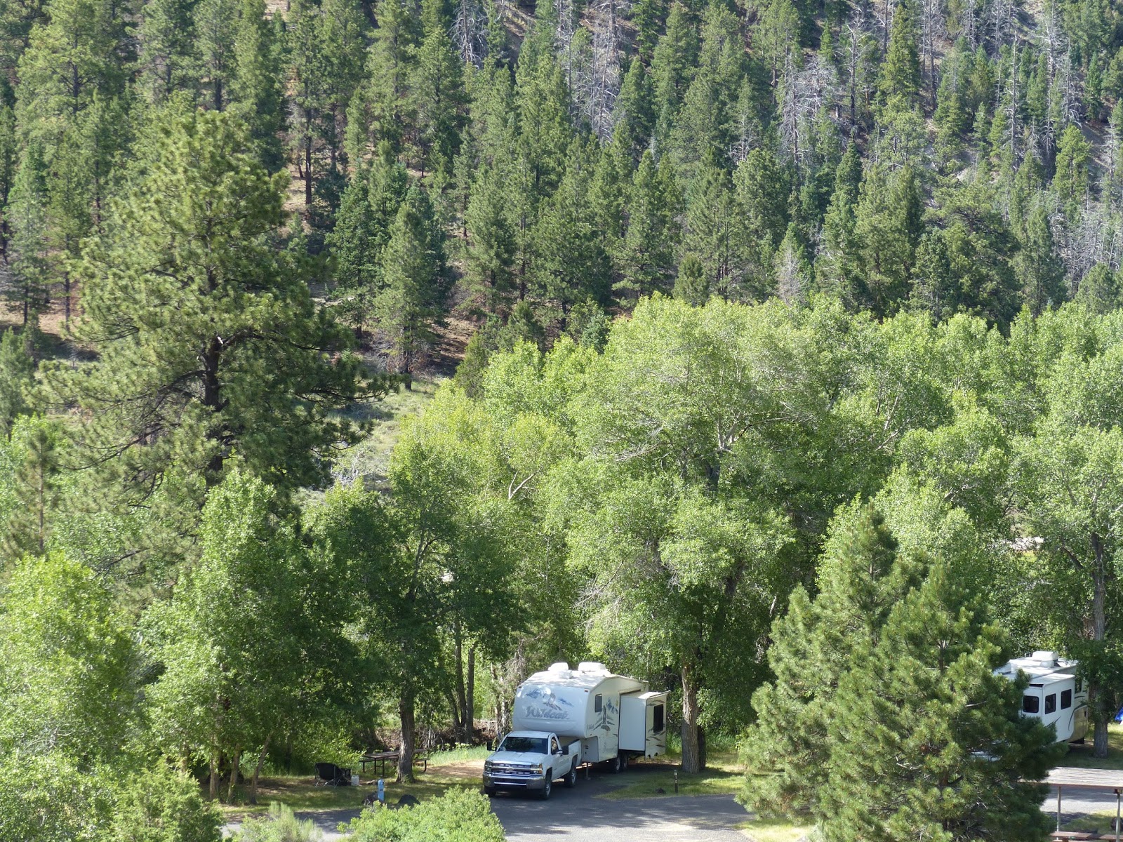 Land Cruising Adventure White Bridge Campground National Forest