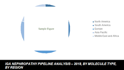 global IGA nephropathy disease treatment market share global IGA nephropathy disease treatment market share by country