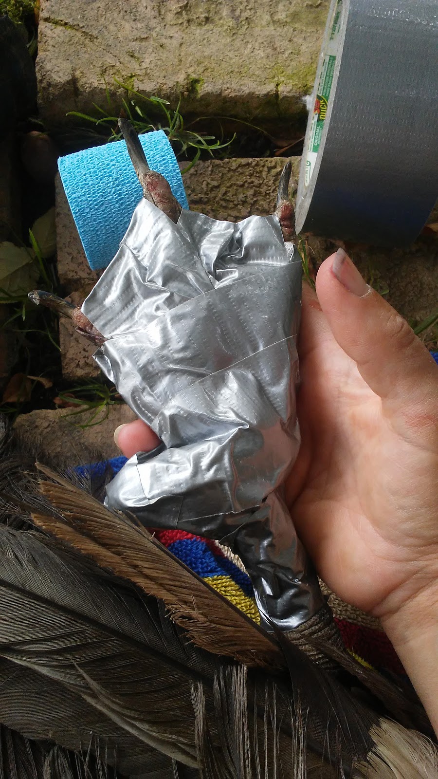 How to Treat a Broken Duck Claw