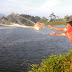 Belajar Fotografi Ponsel