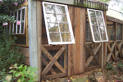 windows repurposed coop materials doors chicken door cabin barn goat reclaimed chinoiserie repurposing dillard tara lumber century were reclaiming xx