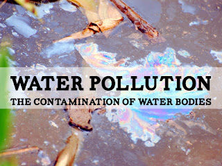   water pollution project, water pollution project for school pdf, water pollution introduction, how to make water pollution model project, water pollution model for school project, water pollution project model, water pollution information, simple model water pollution, water pollution effects