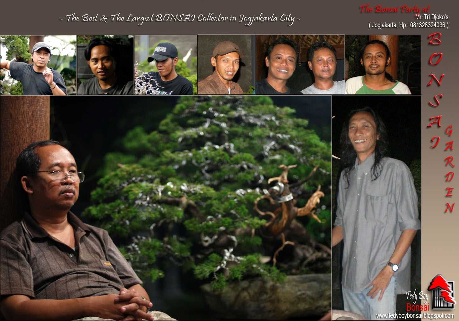 Bonsai Tedy Boy Bonsai Bali INDONESIA europe usa america european JAPAN