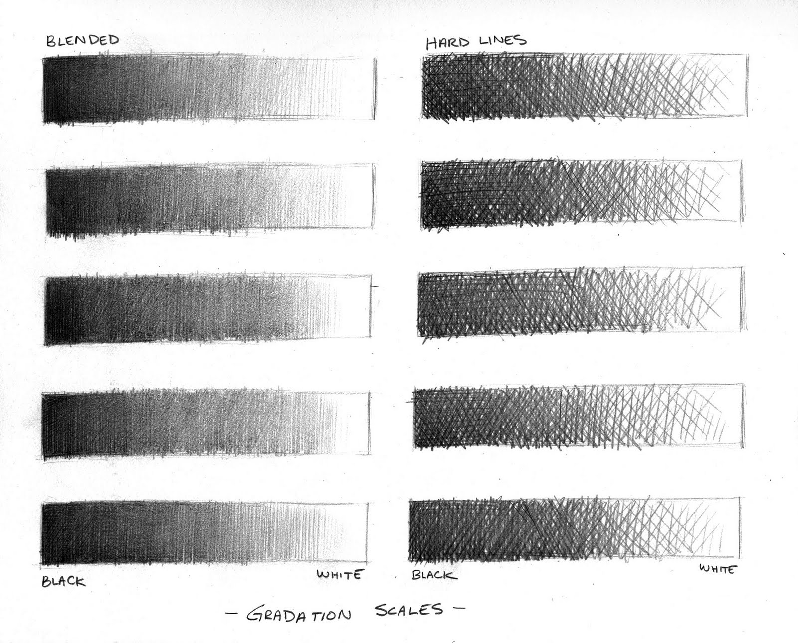 Genesis Art Project Homework