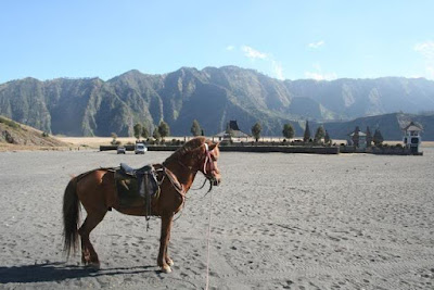Obyek wisata probolinggo, lautan pasir bromo Obyek wisata probolinggo, lautan pasir bromo