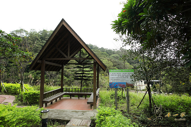 三峽私房景點櫻花林 樹木銀行|三峽碳中和樂園