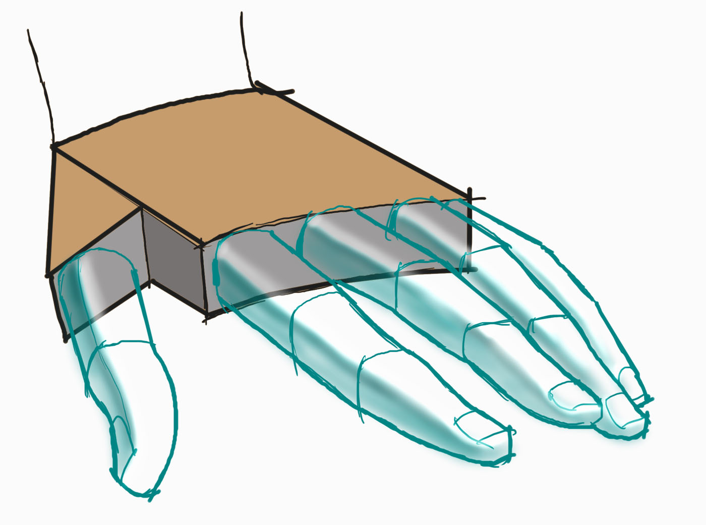 Fall 2017 Étude de la forme humaine section B) // Drawing the human