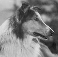 the real name of Lassie was Pal
