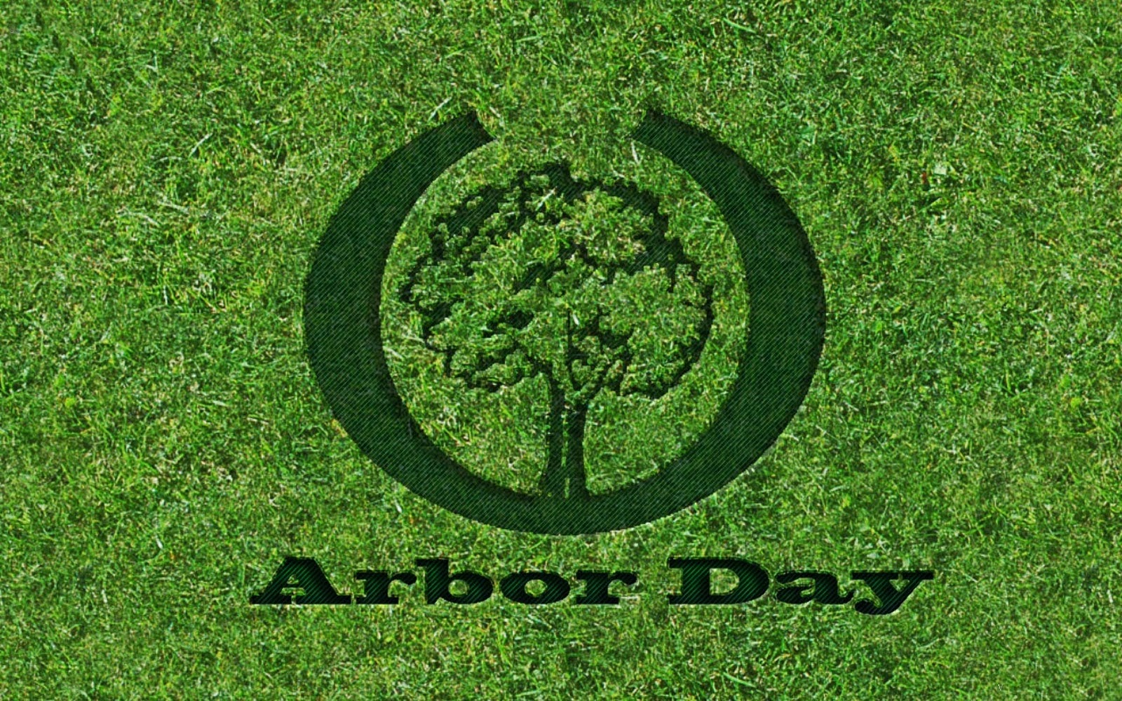 Happy Arbor Day Quotes,Messages & Sayings  Happiness Style