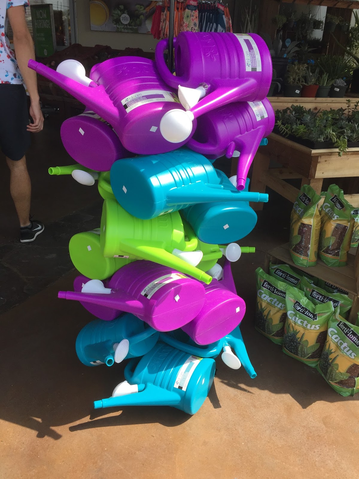 Austin Texas Daily Photo Watering Cans
