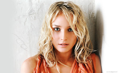 Diane Kruger HD Wallpaper Diane Kruger HD Wallpaper