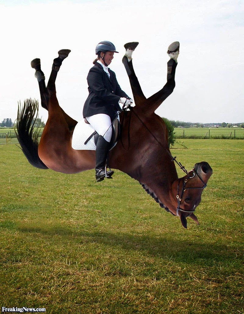 The Coltons Point Times April 2015