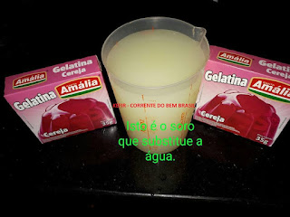 GELATINA COM SORO E YOGURTE GREGO  NATURAL - DE KEFIR DE LEITE