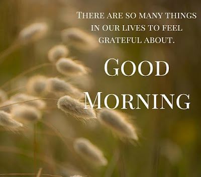 good morning good morning