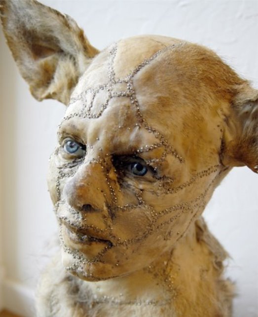 Химера человека и животного. Женщина химера лидия фэйрчайлд. Генетические люди-химеры. Тетрагаметический химеризм. Биологический химеризм.