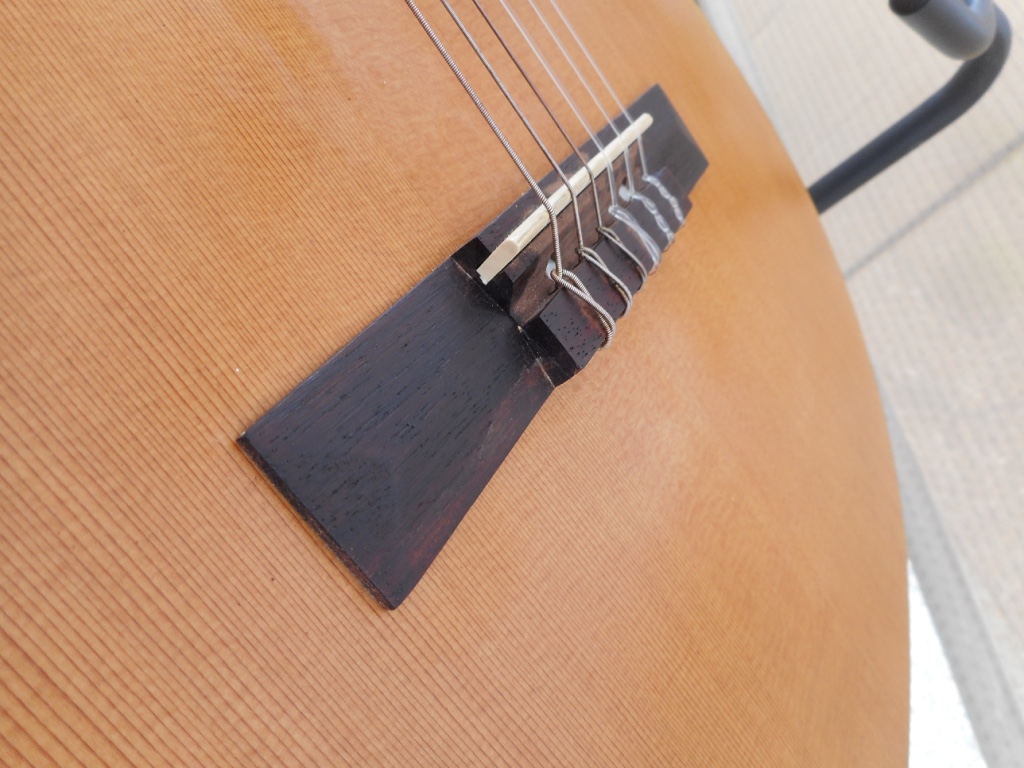 Rex and the Bass La Patrie Etude Acoustic Guitar Review