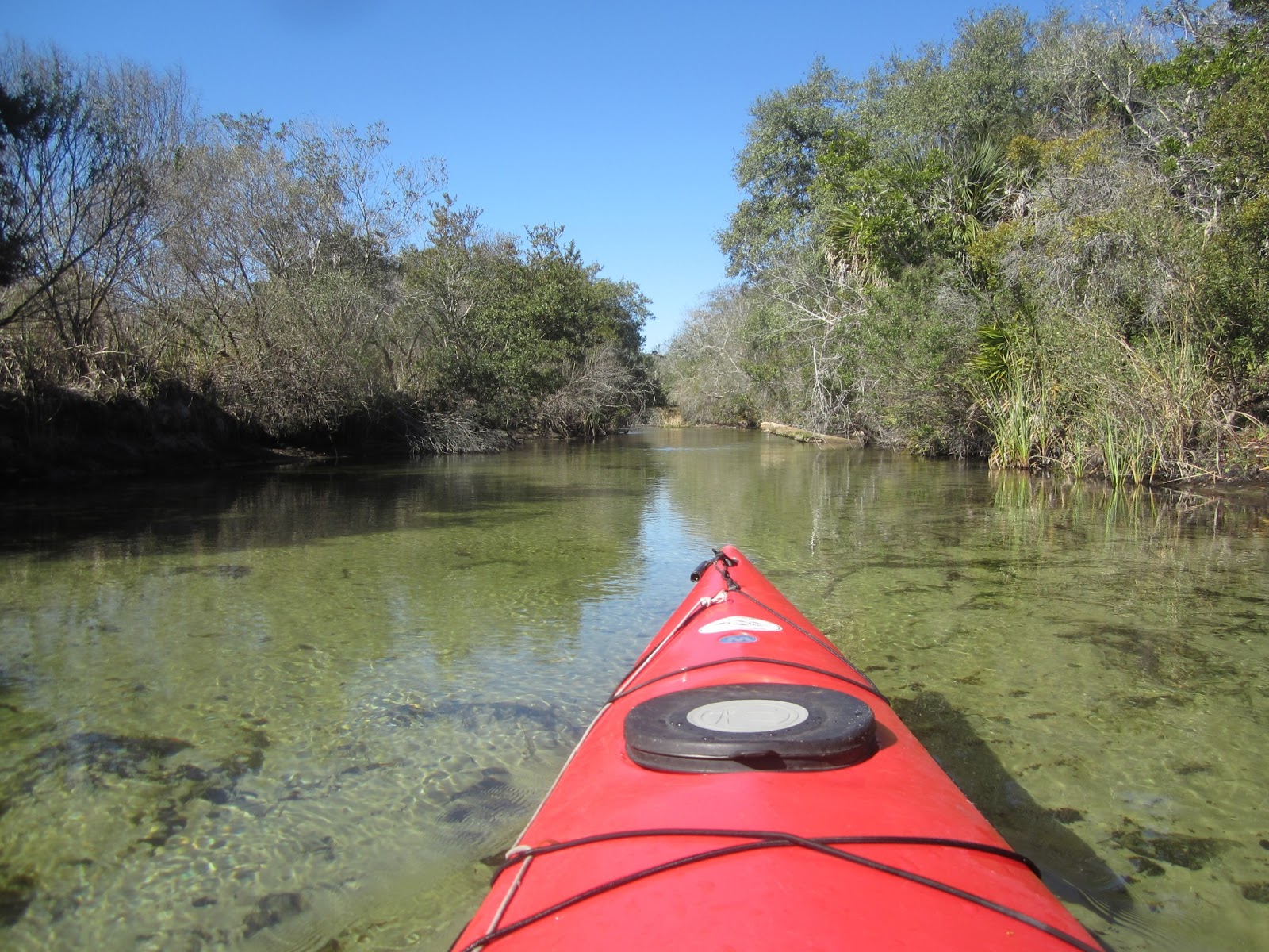 Dave's Yak Tales Sweetwater Cabin, Juniper Creek, Salt Springs Run