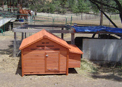 fox hen coop run there split