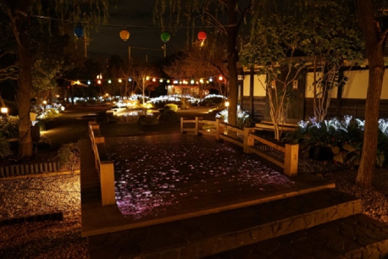 Onsen Hanami Tokyo Onsen Hanami Tokyo