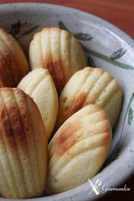 gourmandise madeleine melão