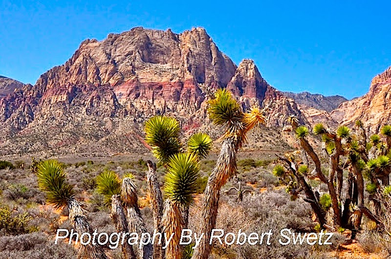 Blogging By Robert Vegas Bob Swetz Robert Vegas Bob Swetz sells Homes in Red Rock Canyon Las
