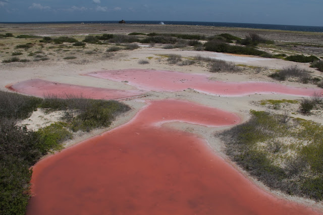 Blog Apaixonados por Viagens - Aruba ou Curaçao?