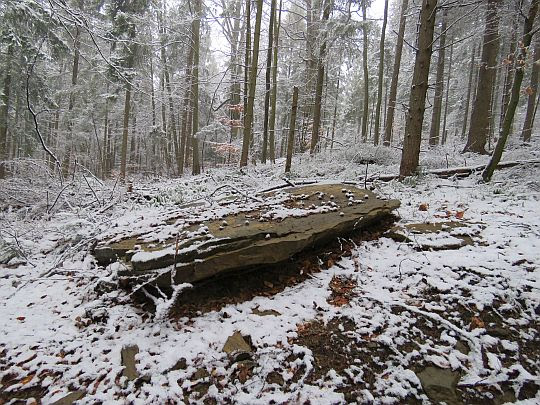 Skalna płyta. Skalna płyta.