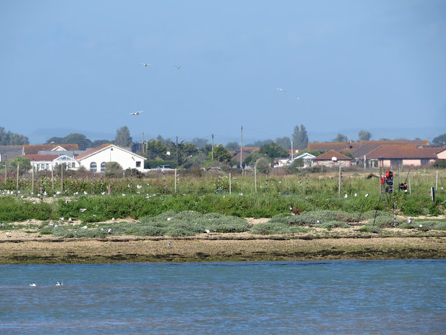 Pagham Harbour, West Sussex Pagham Harbour, West Sussex