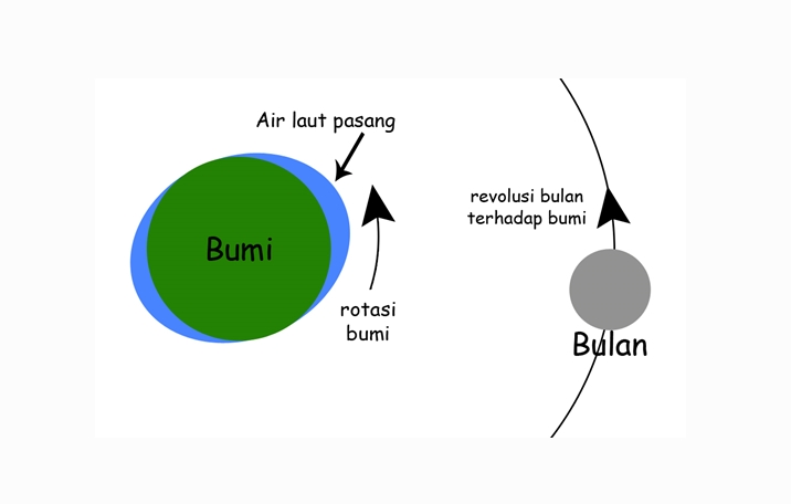 Pasang surut air laut dapat dipengaruhi oleh gravitasi