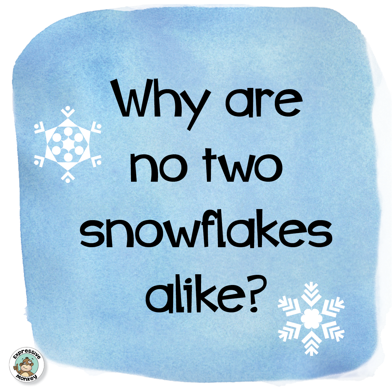 The Science & Art of Snowflakes Expressive Monkey