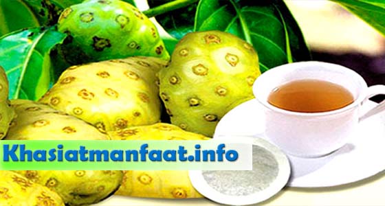 Khasiat dan Manfaat Buah Pace Khasiat dan Manfaat Buah Pace