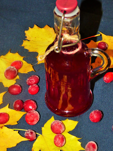 Żurawina- naturalny antybiotyk 