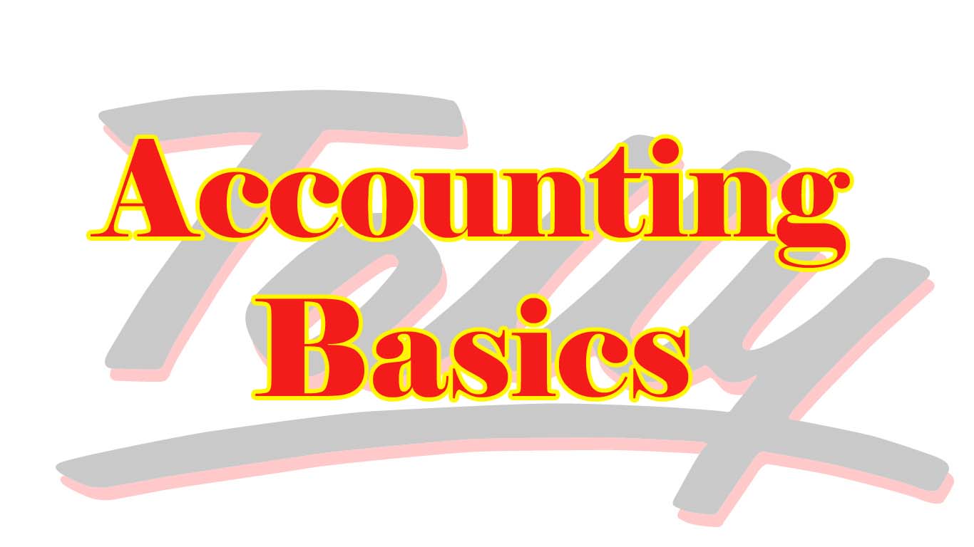 tally basic accounting package