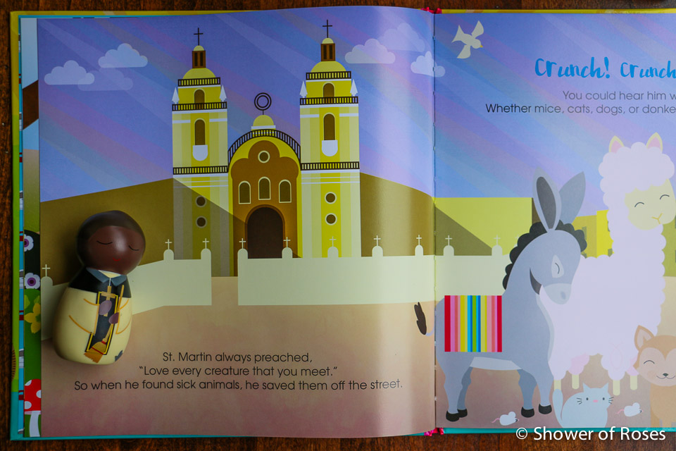 Shower of Roses New Picture Book for Our November Book Basket Saints