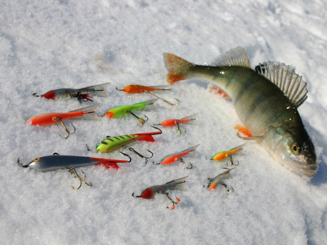 Зимняя ловля рыбы в коряжнике