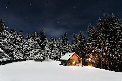 Picture Christmas Tree Wood and a Cosy House