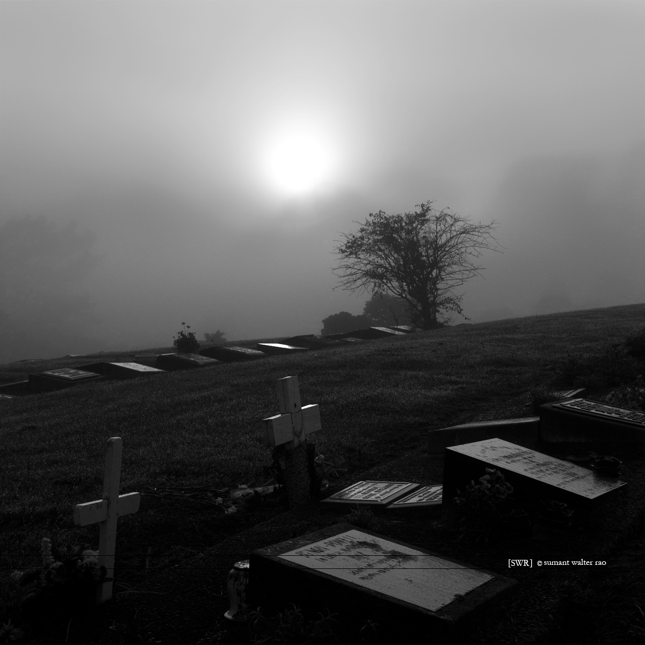 Sumant Walter Rao Photography: 2012