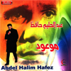 Abdelhalim Hafez-Maoud