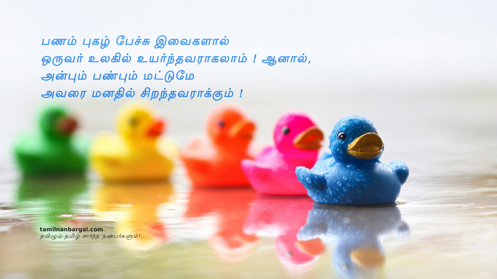 Lovers India: [Lovers India] Re: Tamil Wallpapers