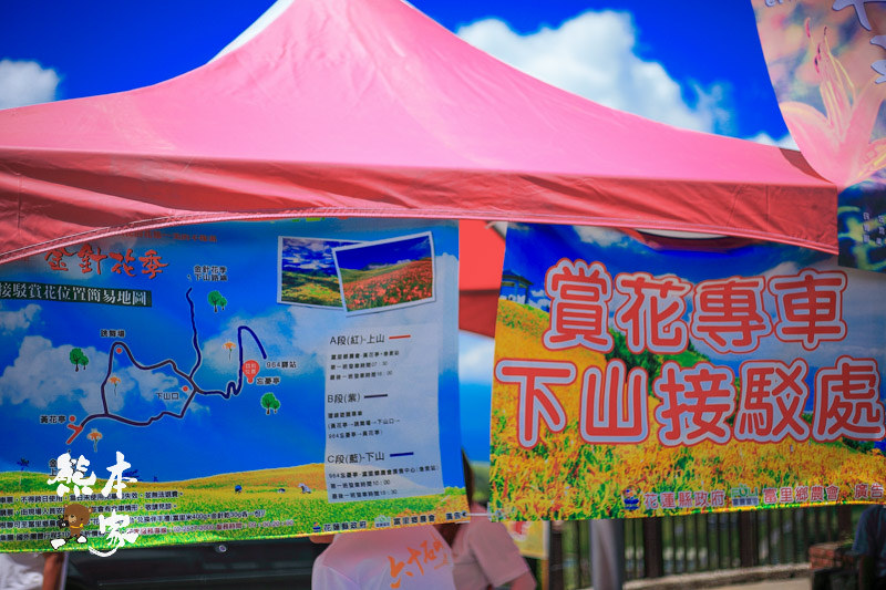 六十石山金針花季|金針花季時間|俯覽花東縱谷絕佳觀景區|台灣小瑞士|六十石山金針花季建議交通住宿民宿資訊