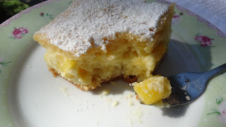 Prajitura cu vanilie si caise