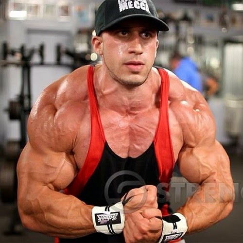 world bodybuilders pictures north american bodybuilder nick medici