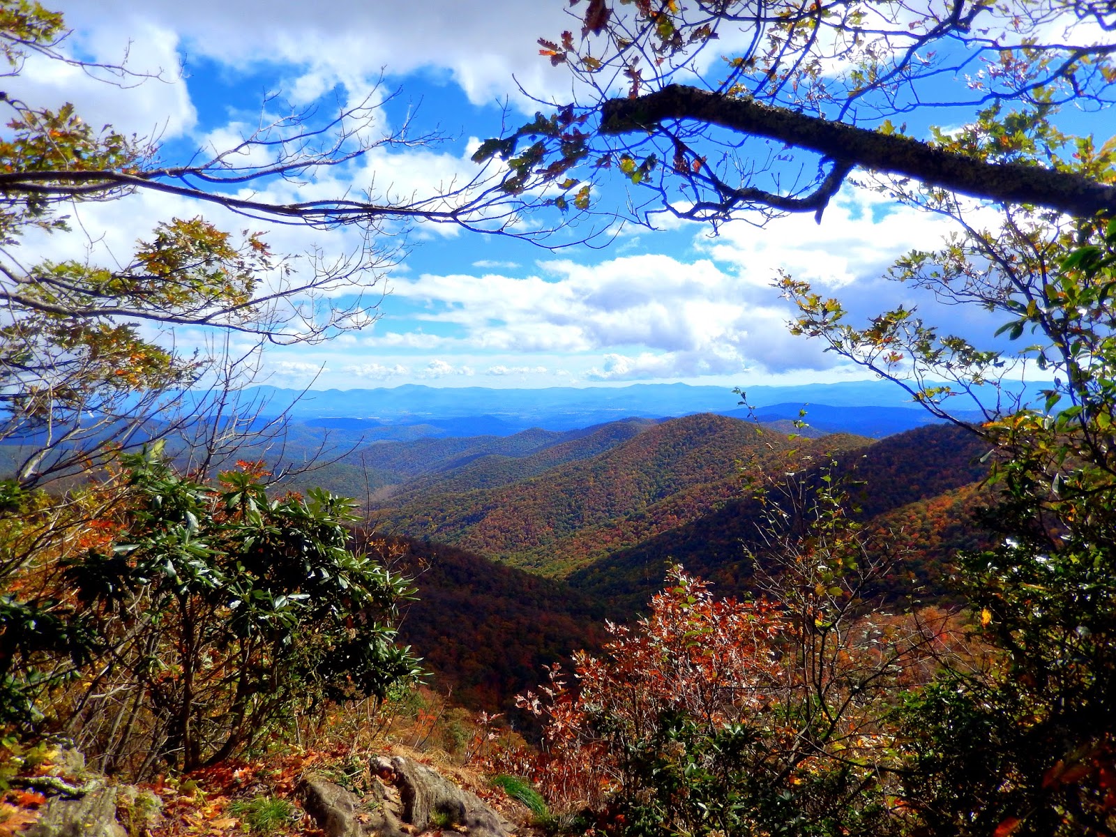 Hiking with a Fat Bald White Guy Pisgah Mountain Range Mt Pisgah