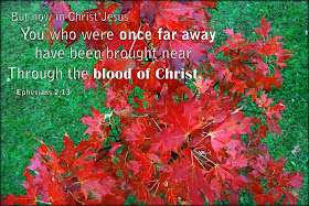 Ephesians 2:13 red fall leaves