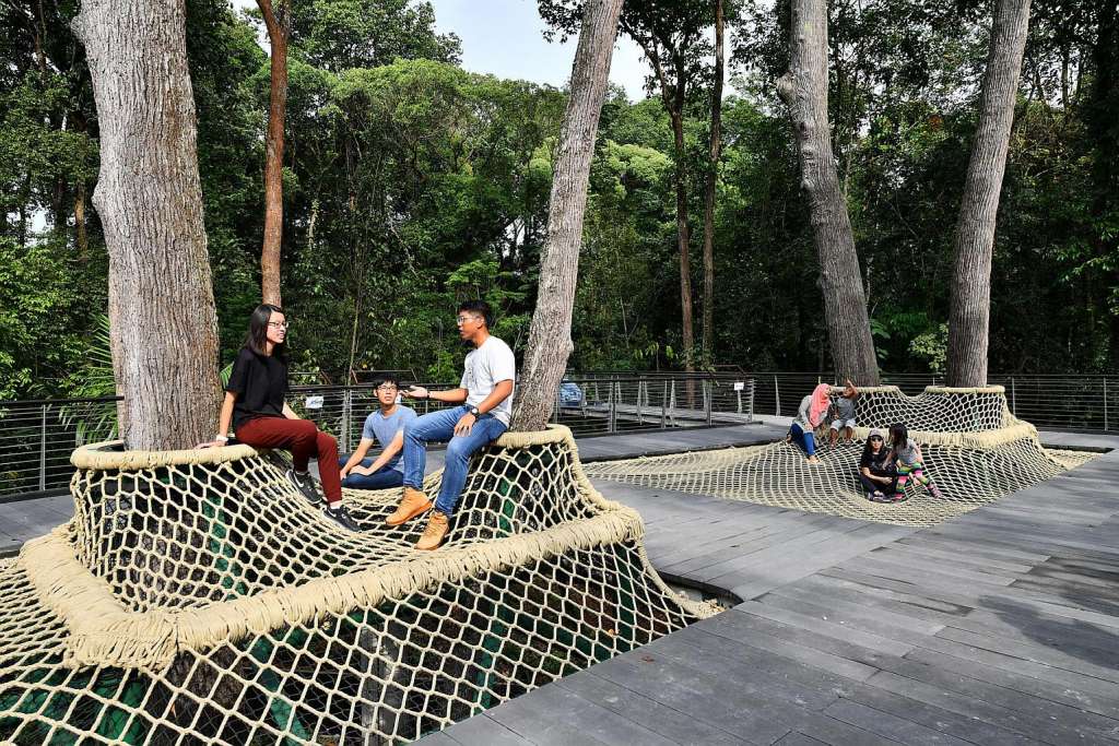Canopy Web at SPH Walk of Giants.