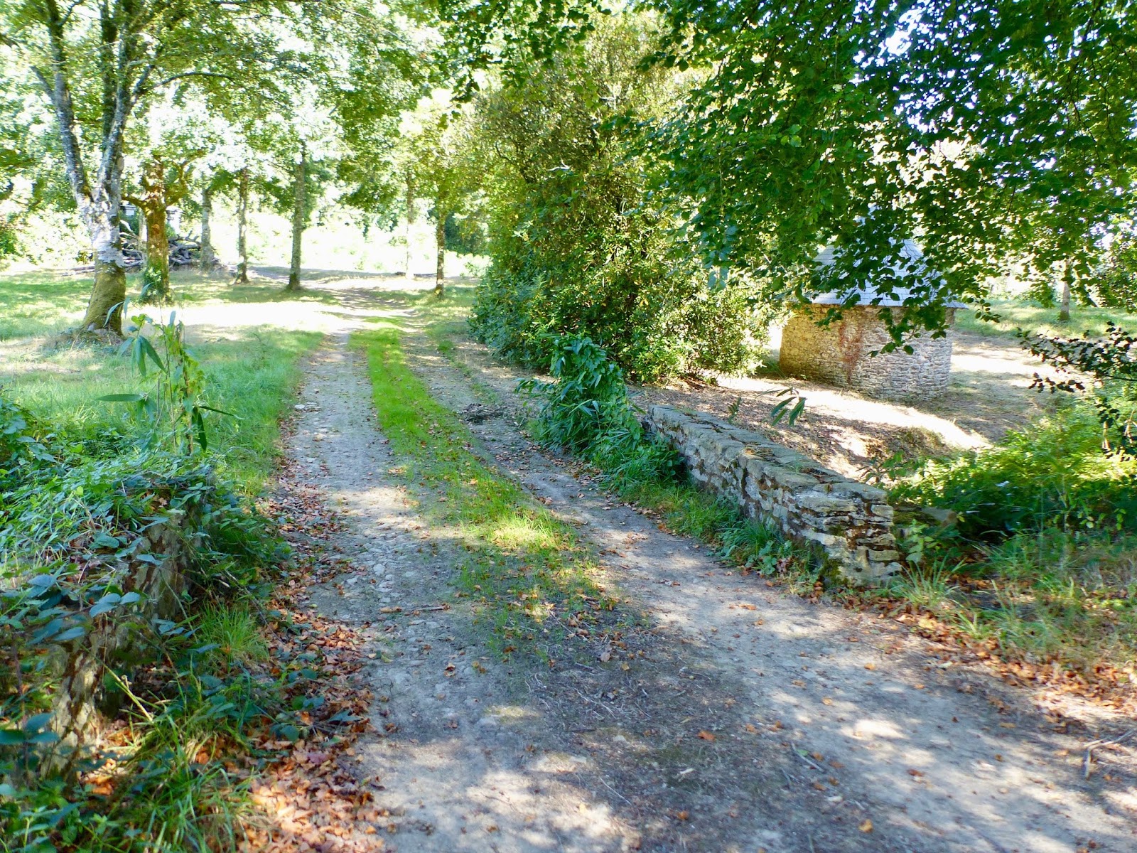 Le retour chez Canelle Le chateau de Keronic (2)