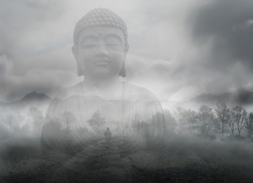Видео 4 на дзен. Будда картина лицо. The Spirit of Buddha. Фотоальбом. Будда фото сострадание. Овца Будда.