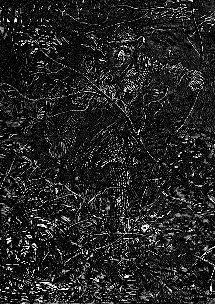 Fred Barnard a Fred Barnard book illustration for Dickens, a villain running through woods at night